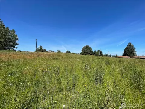 862 Still Rd, Sequim, WA 98382 photo 11