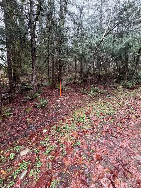 0 Nnn Mountain Trl, Brinnon, WA 98320