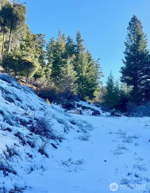 0 Red Top Rd, Cle Elum, WA 98922