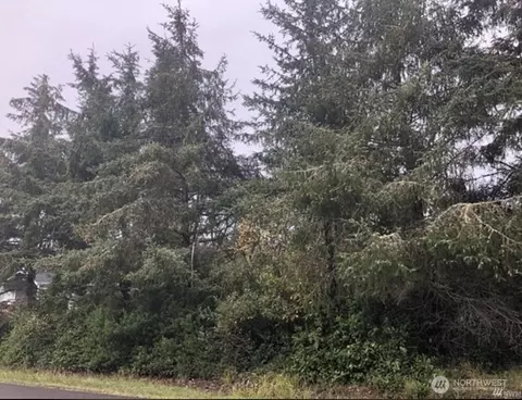 649 Weatherwax Loop NE, Ocean Shores, WA 98569