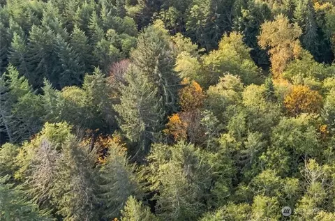 0 Kolisch Rd E, Carbonado, WA 98323