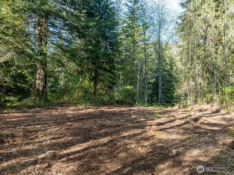 0 Davis Lake Rd, Morton, WA 98356