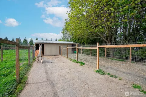 Exterior - 3257 E Badger Rd, Everson, WA 98247 photo 5 of 8