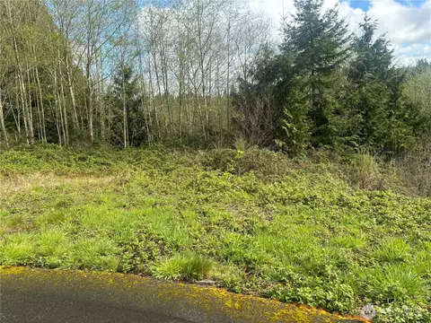 10 Timber Ln, Elma, WA 98541