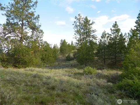0 Tbd Rehmke Rd, Tonasket, WA 98855