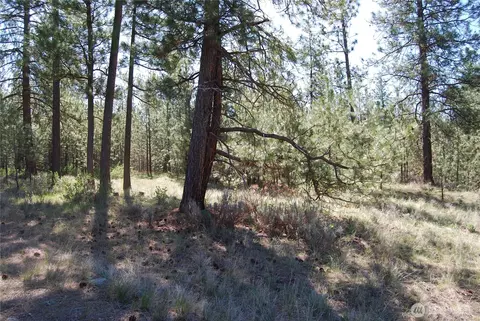 4 Chief Joseph Spur E, Riverside, WA 98849