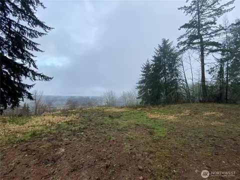 23705 144th St E, Buckley, WA 98360 photo 14