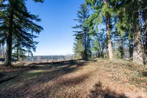 23705 144th St E, Buckley, WA 98360 photo 3