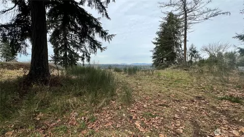 23705 144th St E, Buckley, WA 98360 photo 21
