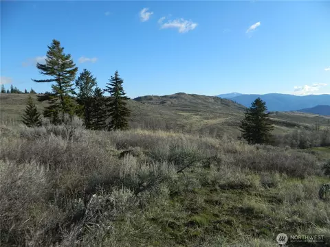 0 Tbd Ellemeham Ridge Rd, Tonasket, WA 98855