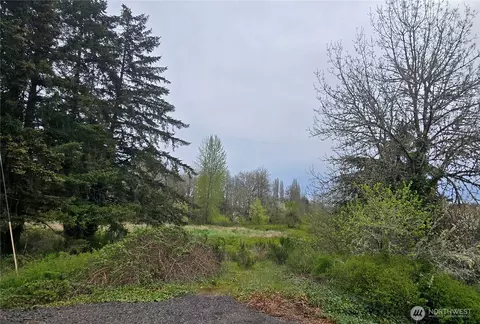 198 Chandler Rd, Doty, WA 98539