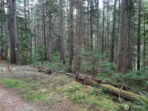 0 Cascade River Rd, Concrete, WA 98267