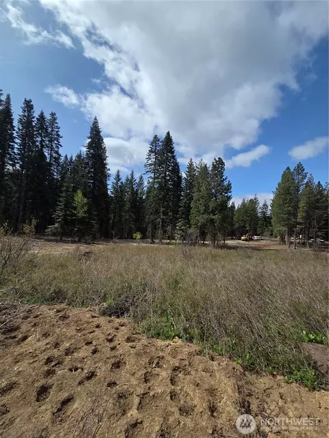 5 Double O Rd, Ronald, WA 98940