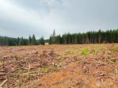 119 Woodberry Ln, Winlock, WA 98596