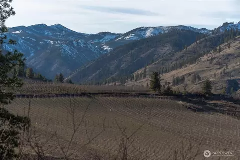 990 Upper Ridge Rd, Chelan, WA 98816 photo 35