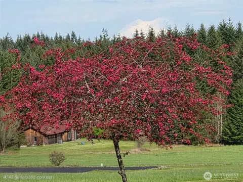 Other - 124 Gunnell Rd, Winlock, WA 98596 photo 12 of 12