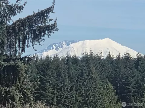 View/Area - 124 Gunnell Rd, Winlock, WA 98596 photo 3 of 3
