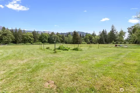 6896 Goodwin Rd, Everson, WA 98247 photo 34