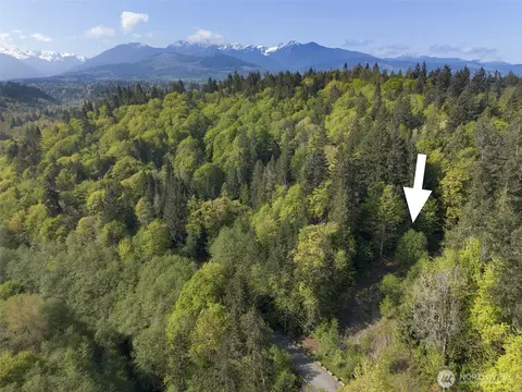 9999 Cottonwood Ln, Port Angeles, WA 98362