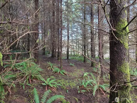 0 End Of Workman Creek Rd, Elma, WA 98541