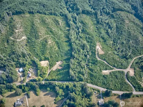 0 Tract 4 South Valley Rd, Naselle, WA 98638
