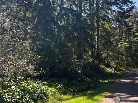 10404 Suncrest Dr, Anderson Island, WA 98303