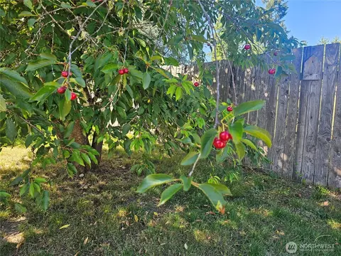 727 Tipsoo Loop S, Rainier, WA 98576 photo 36