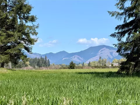 0 W Nnn W Forest Green Ln, Elma, WA 98541