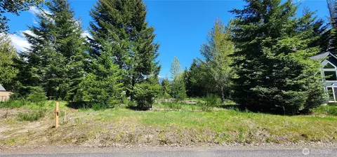 113 Cottonwood Ln, Packwood, WA 98361