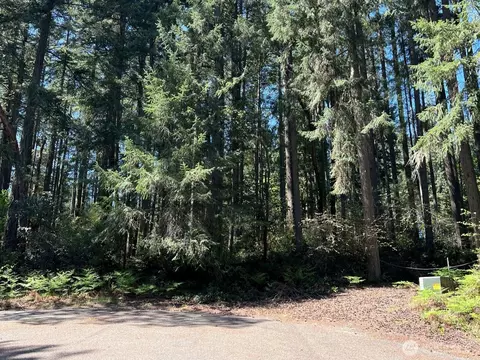 11410 103rd St, Anderson Island, WA 98303