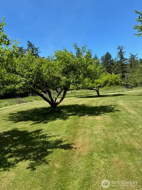 5178 Orcas Rd, Eastsound, WA 98245 photo 28