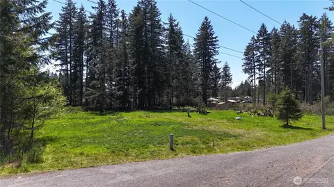 170 W Blackberry Ln, Elma, WA 98541
