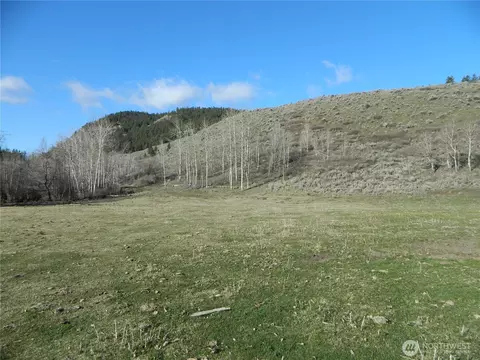 111 Tbd Ellemeham Mountain Ridge Rd, Tonasket, WA 98855