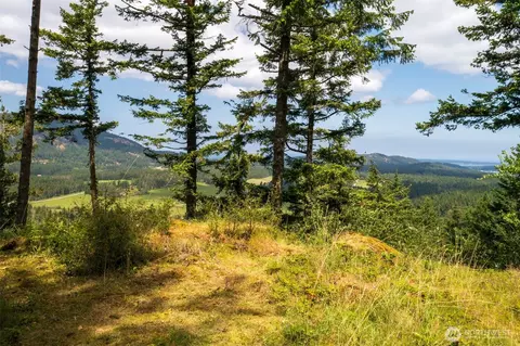 1700 Mountain Crst, Orcas Island, WA 98245