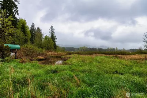 30 Belle Ln, Mccleary, WA 98557