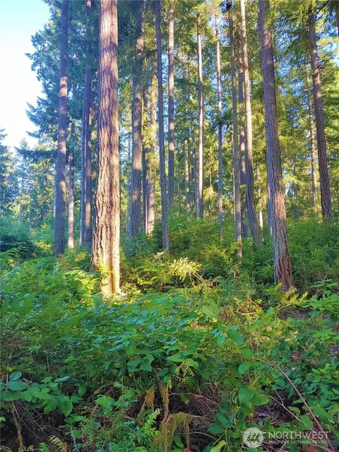 11302 106th St, Anderson Island, WA 98303