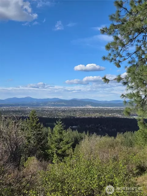10610 E Hallett, Spokane, WA 99206 photo 29
