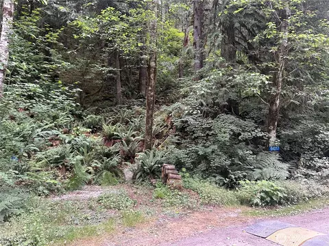 64017 E Cascade Dr, Marblemount, WA 98267