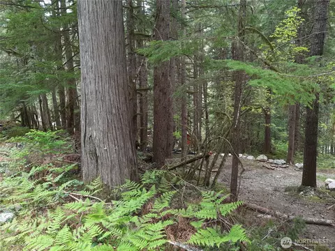 0 Cascade River Rd, Marblemount, WA 98263