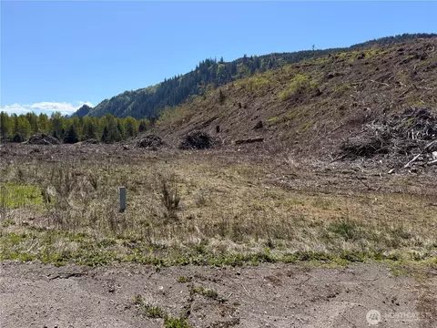 3 Us Highway 12, Glenoma, WA 98336