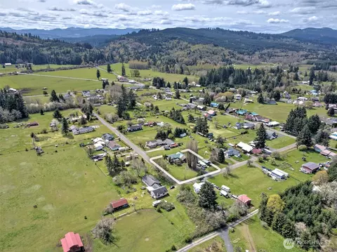 View/Area - 147 Stoddard Rd, Doty, WA 98539 photo 4 of 4
