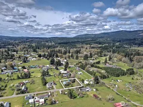 View/Area - 147 Stoddard Rd, Doty, WA 98539 photo 1 of 4