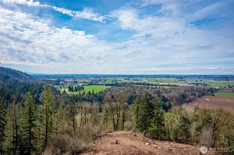 48 Nn Reese Hill Rd, Sumas, WA 98295