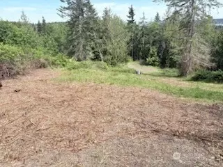 495 Louella Rd, Sequim, WA 98382 photo 5