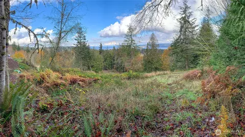495 Louella Rd, Sequim, WA 98382 photo 16