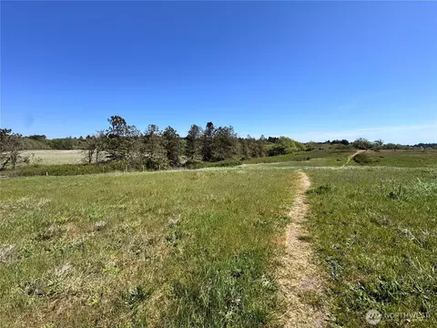 9999 Tyler View Pl, Sequim, WA 98382 photo 5