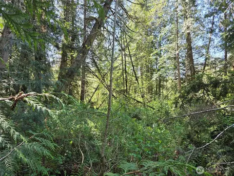 0 Falls Rd, Randle, WA 98377