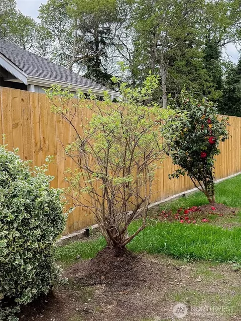 Exterior - 210 166th St E, Spanaway, WA 98387 photo 12 of 17