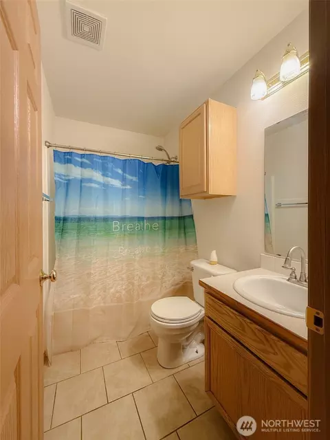 Bath - 210 166th St E, Spanaway, WA 98387 photo 4 of 4