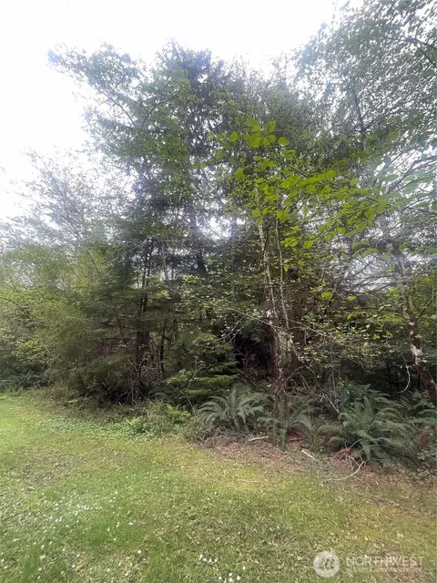 0 Lot 42 Bay Ln, South Bend, WA 98586